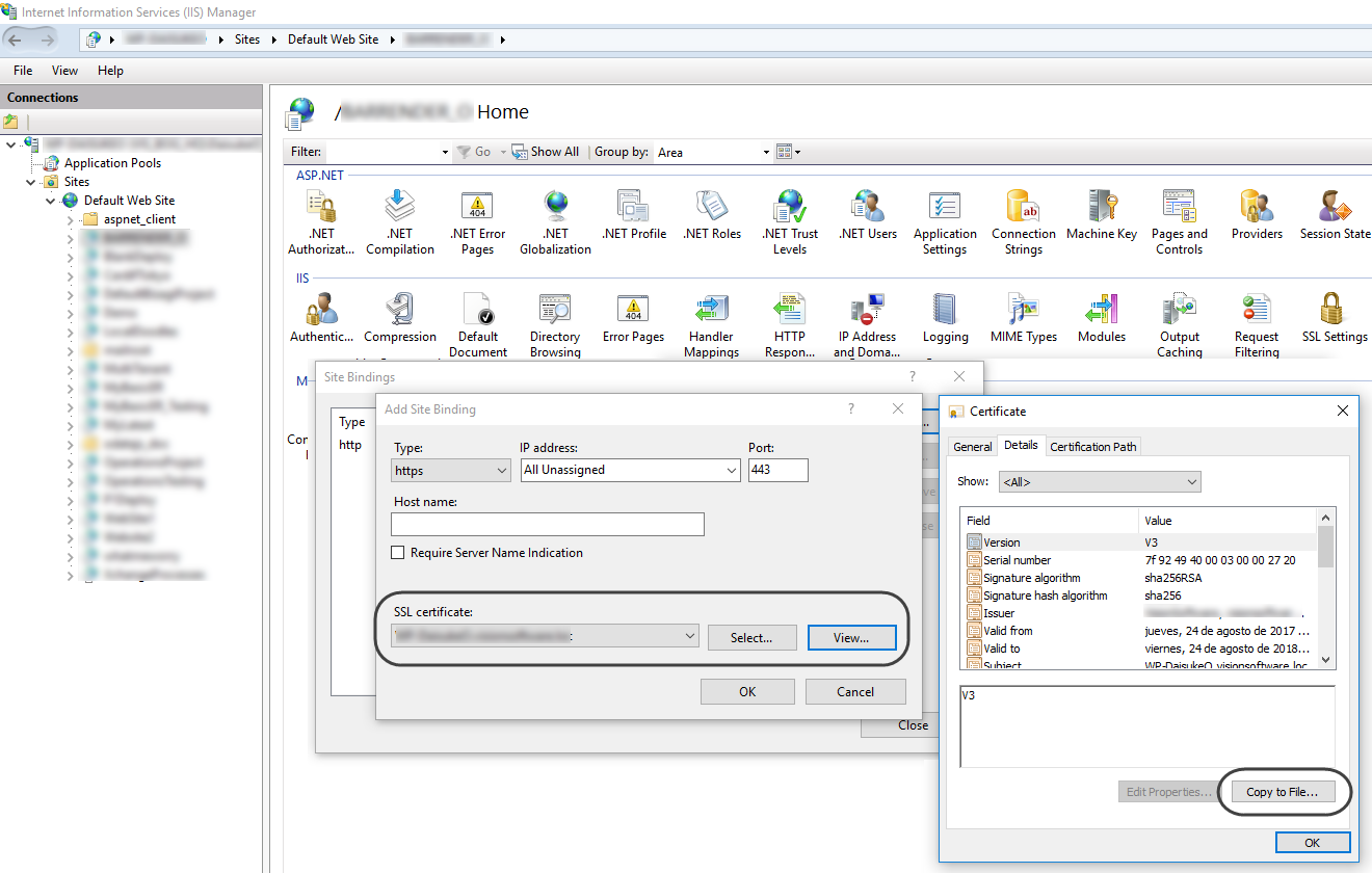 SSO_iiscert2