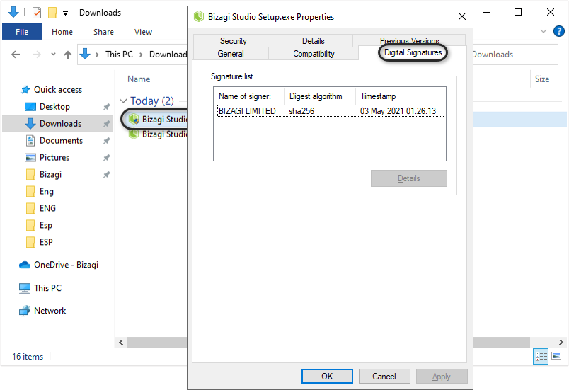 Digital Signatures Tab